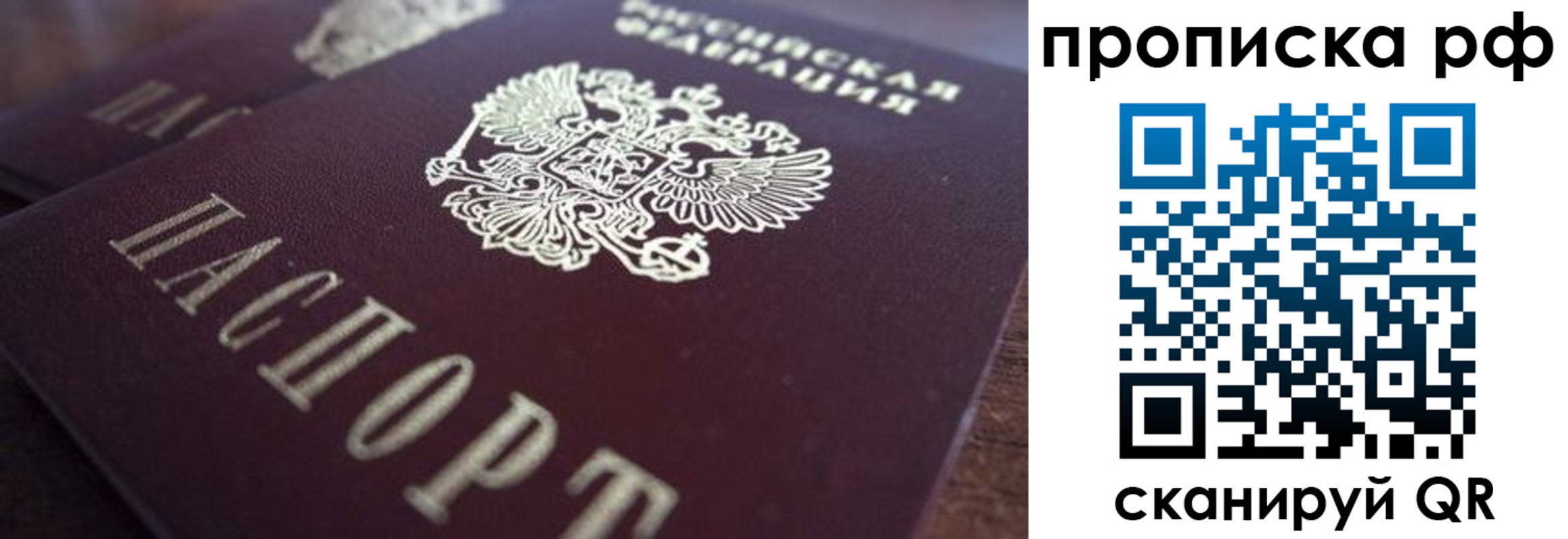 где прописаться в Стародубе